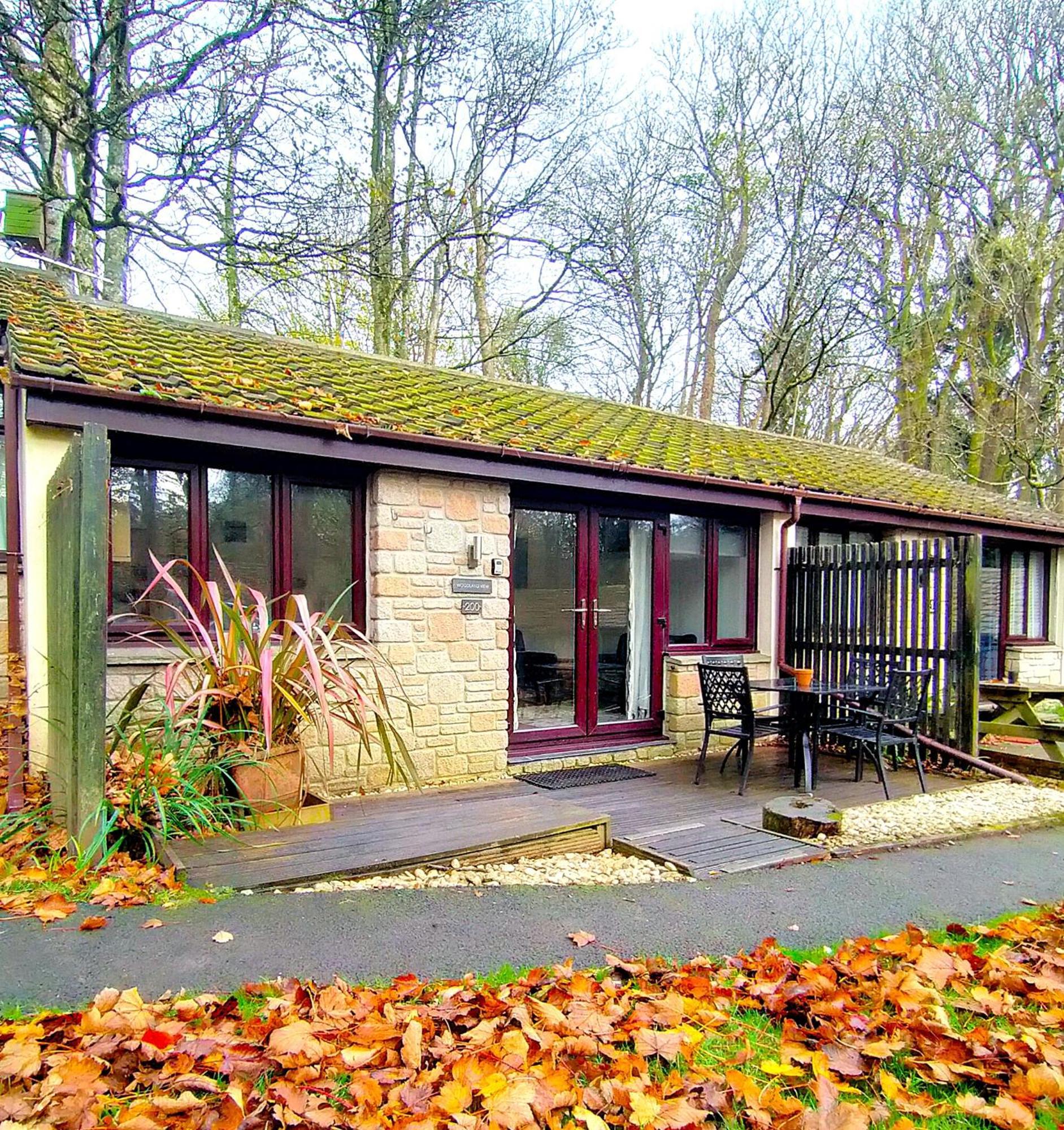 Woodland View - Families & Pets Holiday home *